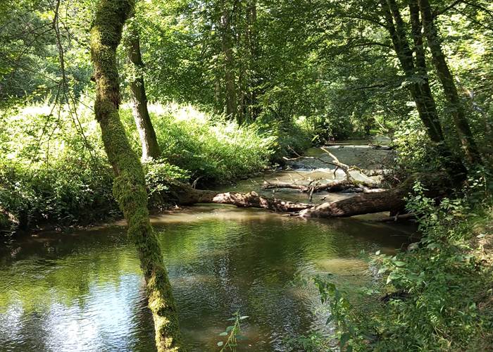 Les balades guidées du parc ESEM