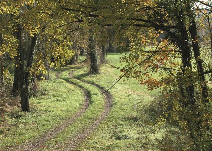 Voie verte de Chalosse