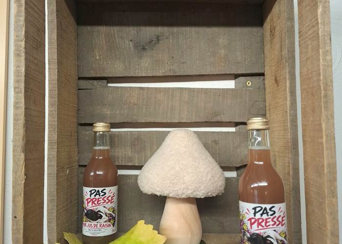 pur-jus-de-raisin-sans-alcool-producteur-bio-route-des-vins-alsace.jpg