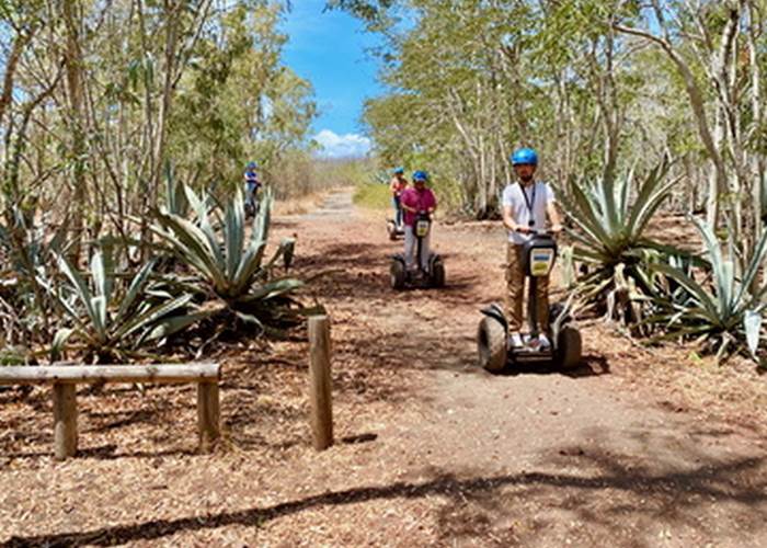 balade-en-segway-mobolboard-dans-la-foret-detang-sale-pres-de-cazadodo.jpg
