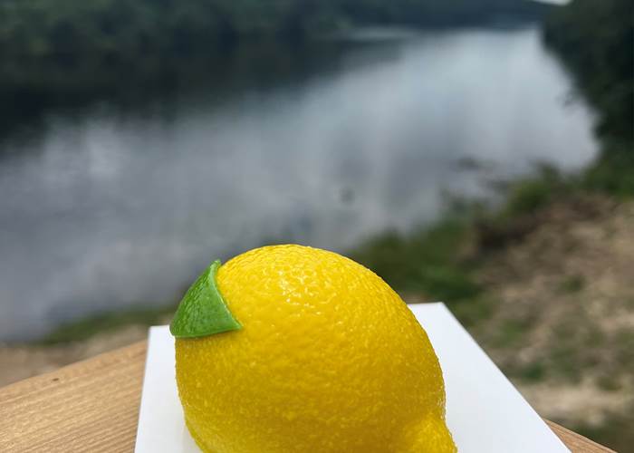 Le citron - Maison Borzeix Besse