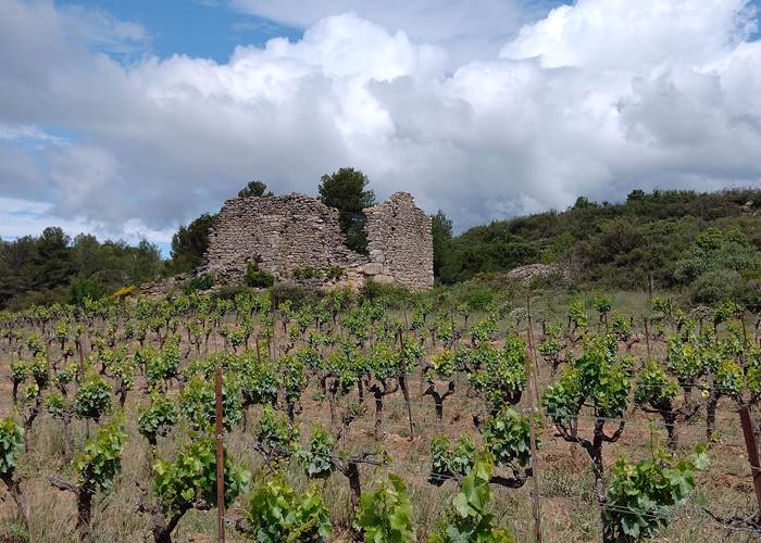 Mailhac 6000 ans d'histoire