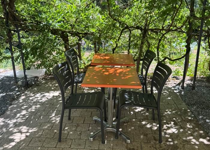 O Moulin du Fieux - La terrasse sous la glycine2