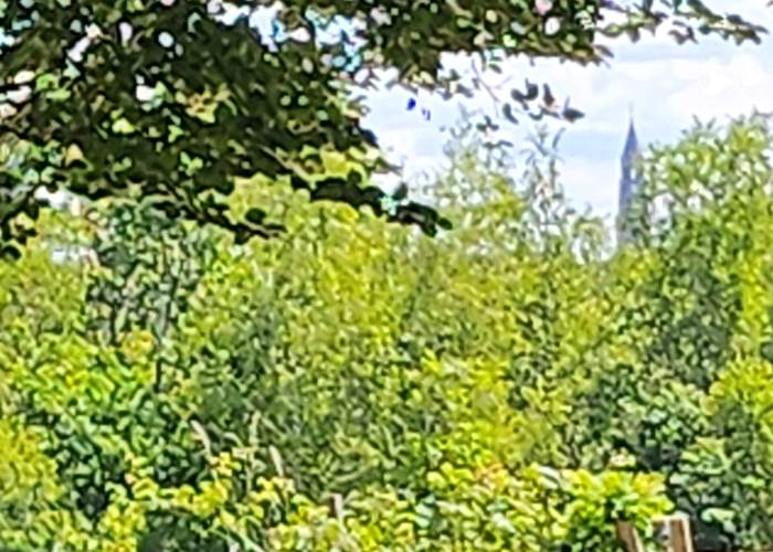 LA COLLEGIALE DE SAINT LEONARD DE NOBLAT