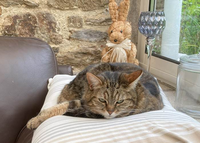 Enka ... en pleine action