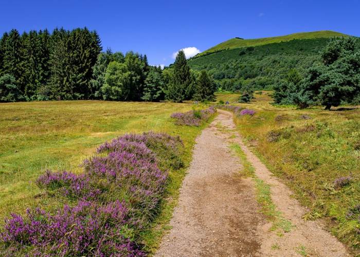 Balades et randonnées faciles dans le Parc des Volcans d'Auvergne