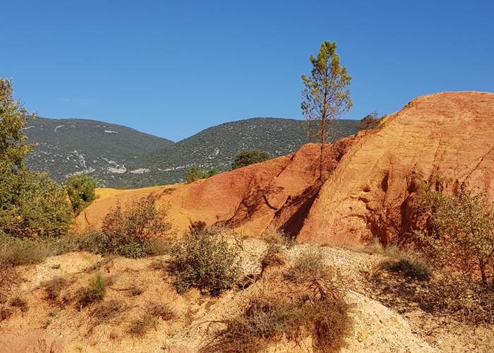 Colorado provençal D