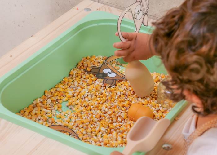 atelier manipulation