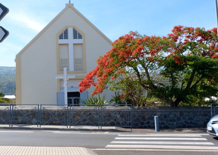 L'Orée du Maïdo - emblème de la Réunion (le Flamboyant)