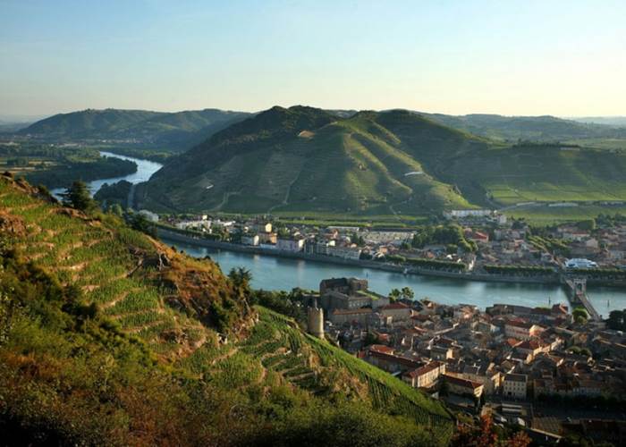 Tain l'Hermitage et sa colline