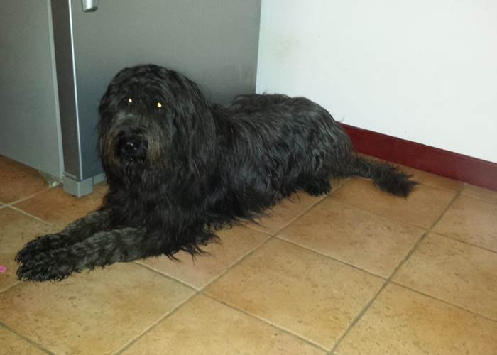 Bonjour, je m'appelle Olympe-page