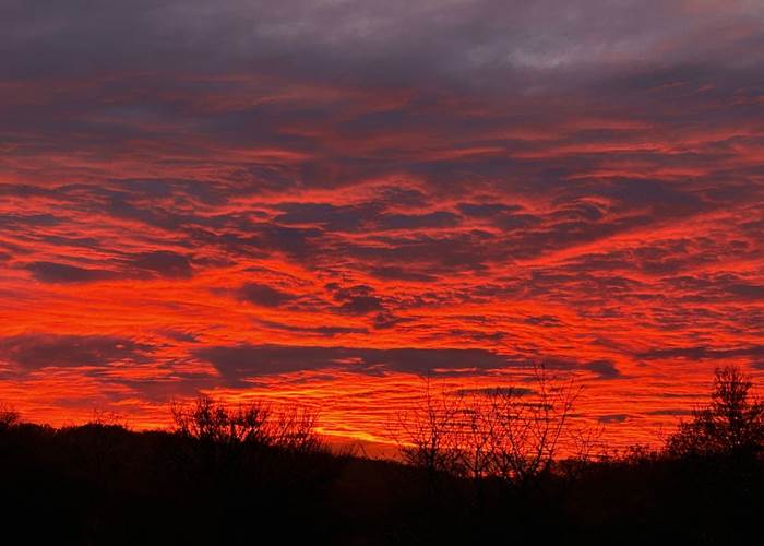 Les couleurs du Domaine