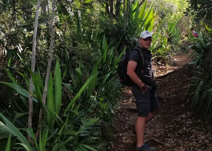 Dans la forêt d'Etang Salé
