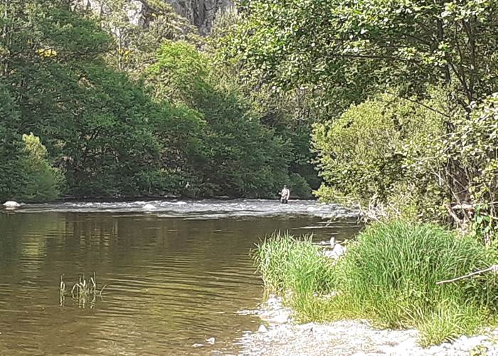 Pêche sur la rivière Allier