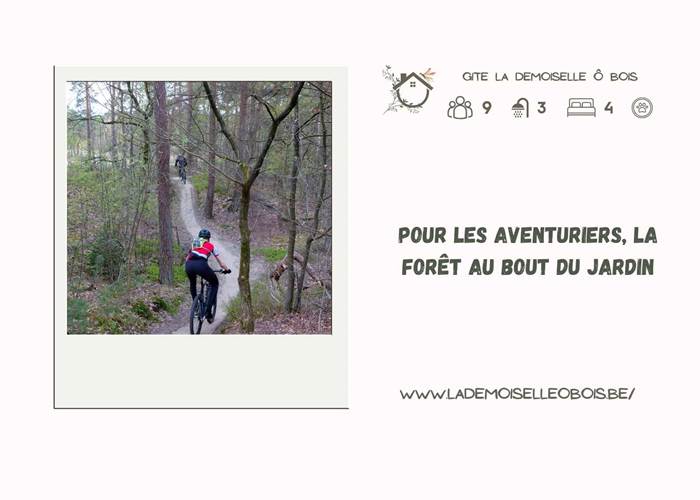 La Demoiselle ô bois - VTT