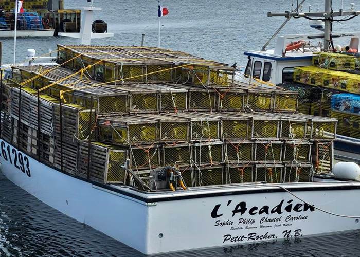 485783826_1834822110636407_2374695736060320749_n