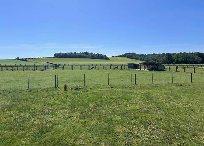 Vue Terrasse Cabane