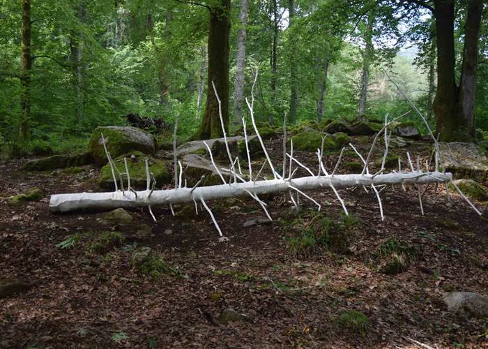 Embaumement 43°05'51.0N 0°04'56.0W, Lorène Roustin, 2022 @ADAGP Paris (2)