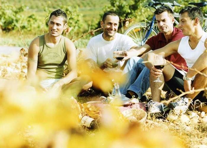 balades a vélo dans le vignoble et visites de caves