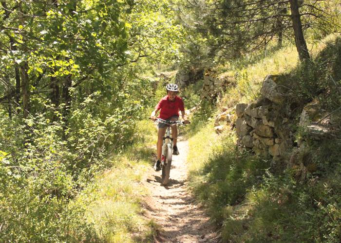 Les Chalets de la Margeride: De bonnes balades à VTT