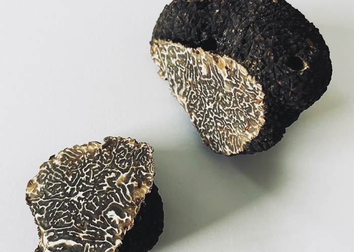 fête-de-la-truffe-Sarlat-Périgord-news