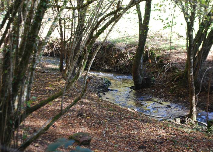 le ruisseaux des fantaisies à 15' à pied du Ranch des Lacs Hotel 87120
