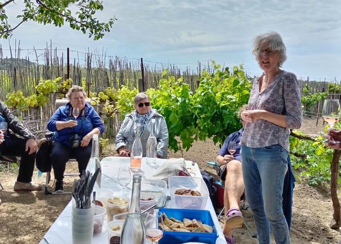 Des séjours à thèmes à Le Coq du Nord-Mailhac