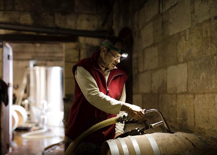 Vignoble, Bio, Biodynamie, Nature, Vins, Domaine, Visite, Dégustation