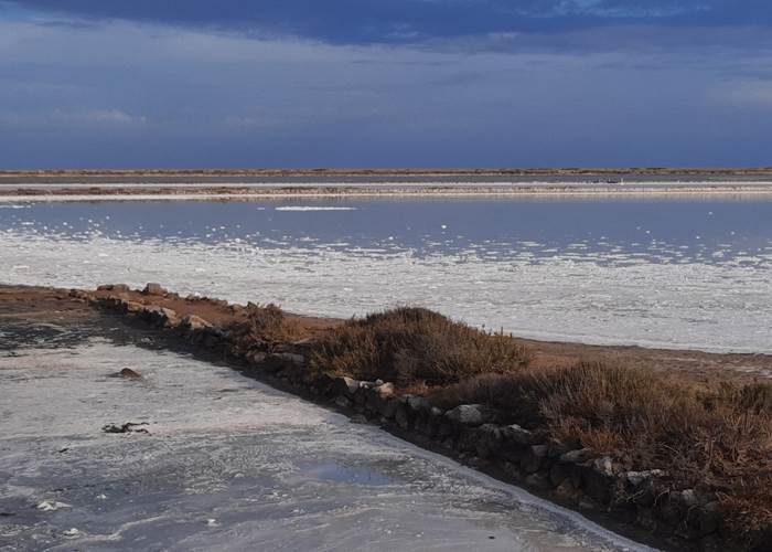 Balade dans les salins