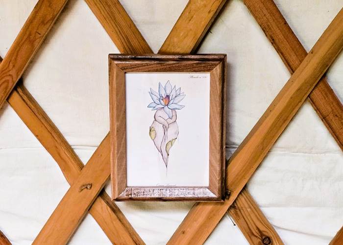 Fée Lotus de la Grande Yourte (dessin réalisé par Océane Laïssouk)