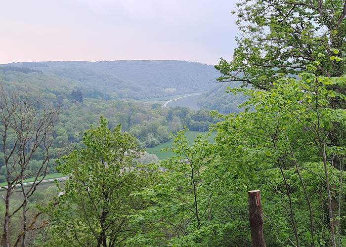 Vallée de la Meuse depuis le Colébi