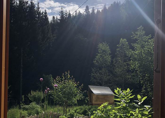 En permaculture, chaque espace est réfléchi