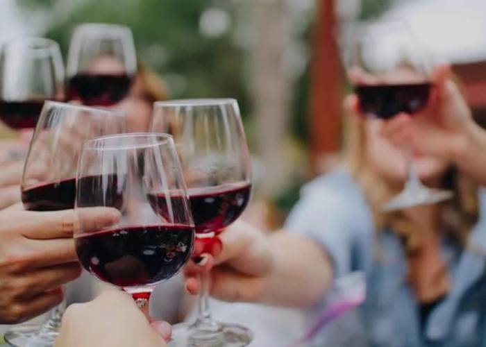 Dégustation de vins à domicile