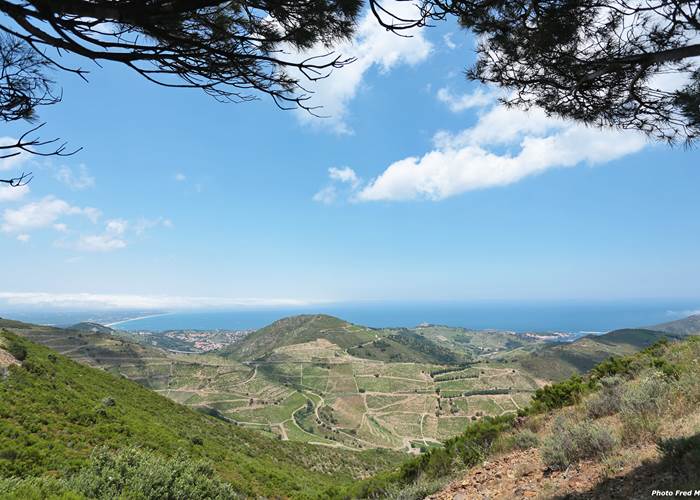 Cote_vermeille_et_vignoble-page