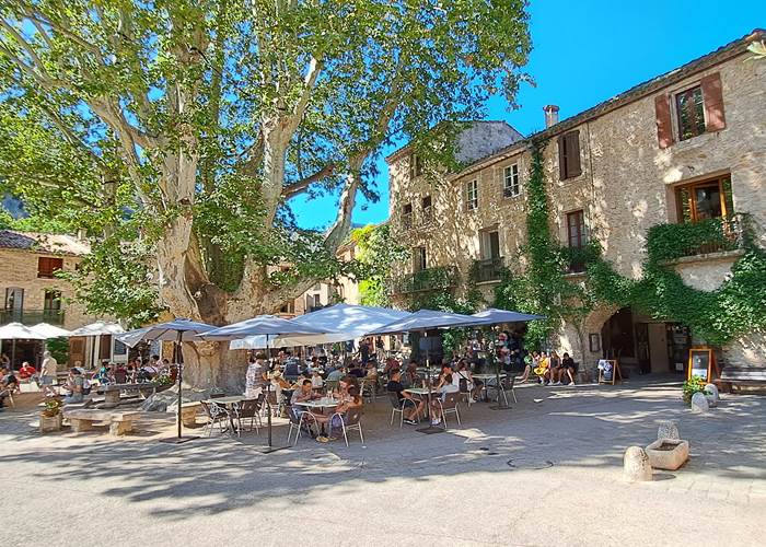 Place de la Liberté à Saint-Guilhem-le-Désert, avec son platane centenaire, ses terrasses de restaurants et ses maisons médiévales.