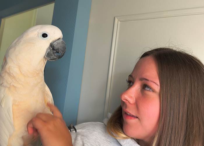 interaction perroquet maison d’hôtes La Flèche expérience ludique