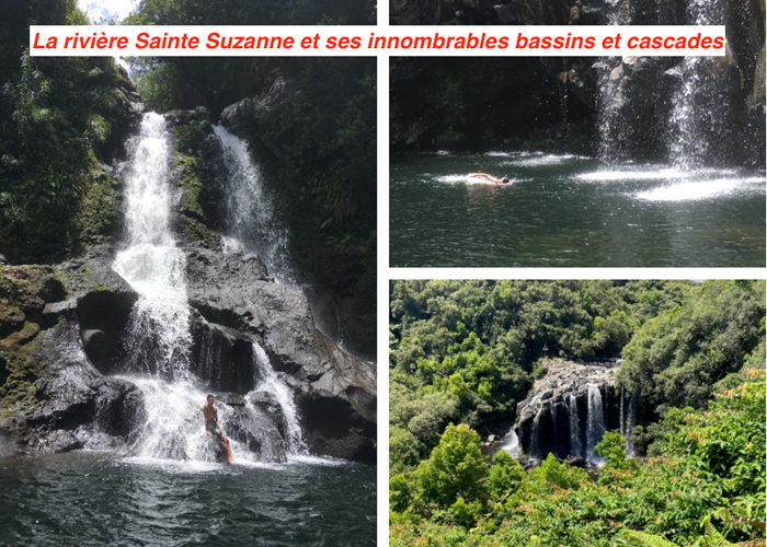 pilon carosse nicole