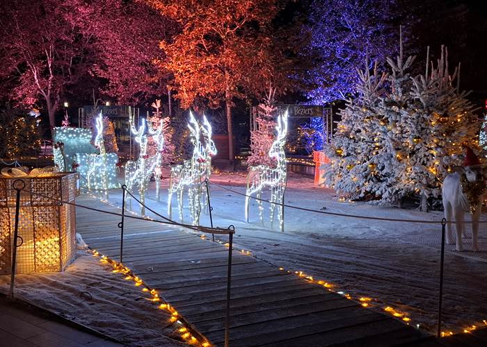 Décorations lumineuses de Noël à Béziers avec rennes et sapins illuminés-news