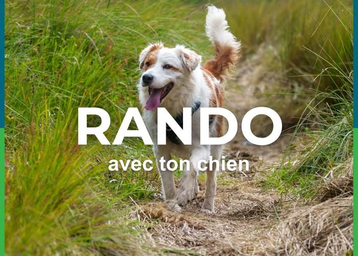 avec ton animal- randonnée cart- nouveauté 2026- aquaterra