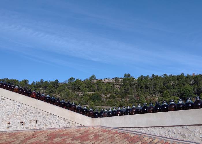 A la découverte de Cyril Codina