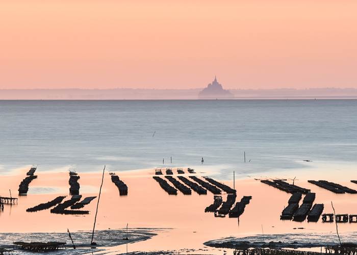 Les parcs à huitres et le Mont saint Michel