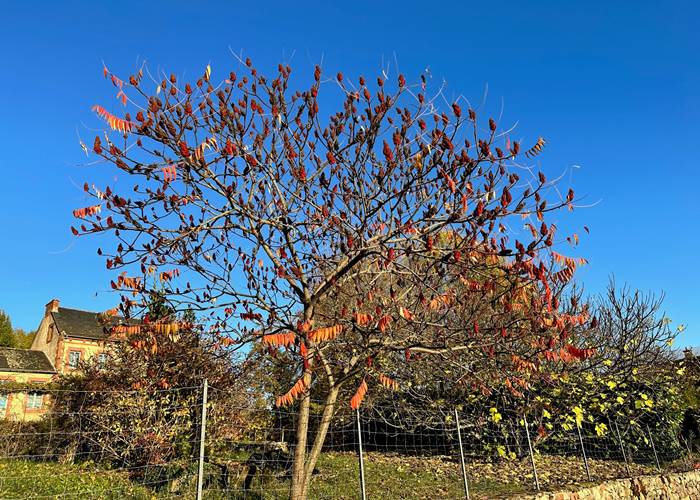 automne 2022