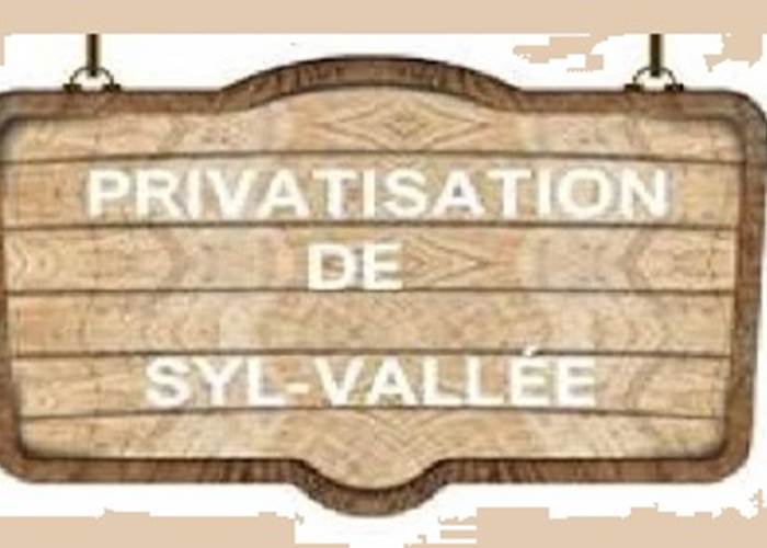Sans titre
