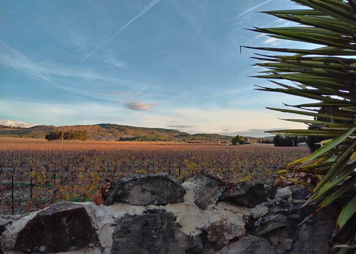 Admirer la nature à le Coq du Nord-Mailhac