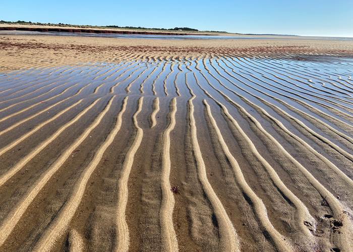 Plage de la Grande Côte