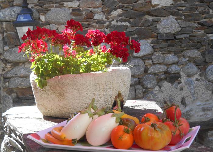 Légumes du jardin