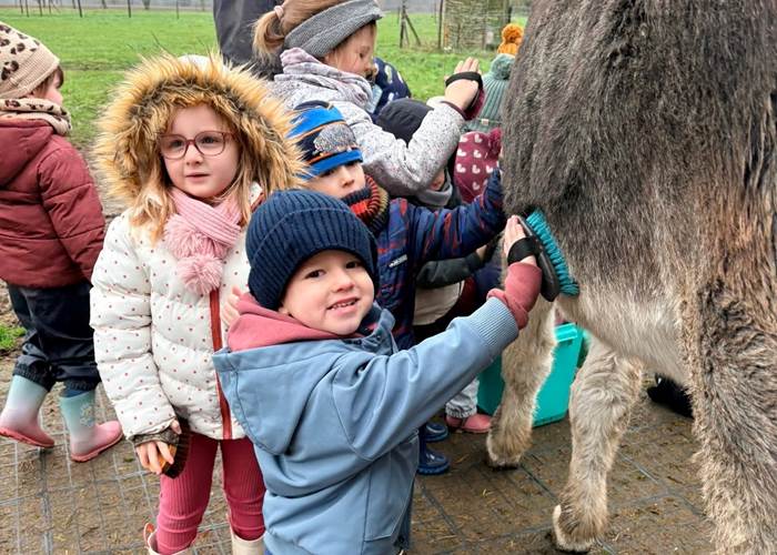 Balade avec des ânes