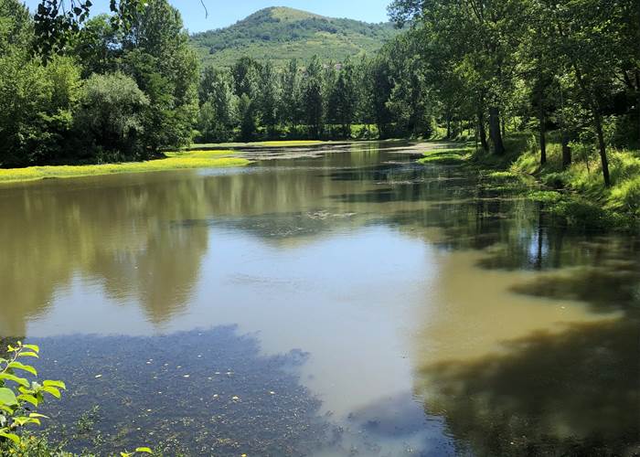 Bords de l'Allier