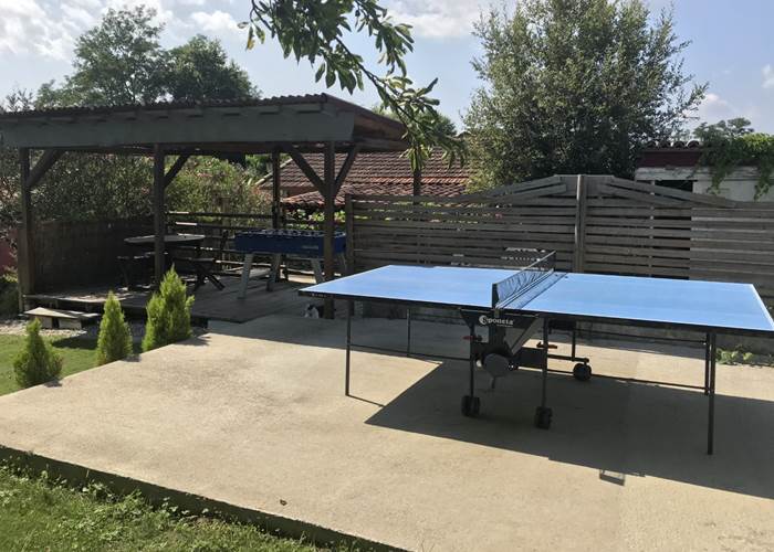 ping-pong
