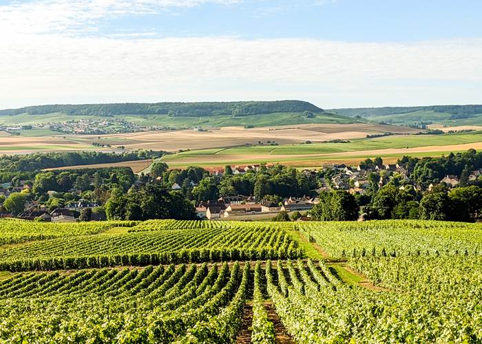 Paysages de Champagne UNESCO